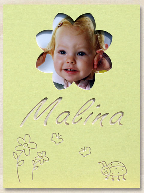 Mein Foto Bild klein K�fer und Blume