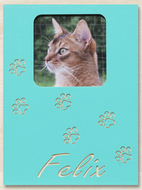 Katzenpfoten lang