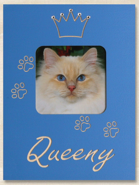 Edelkatze